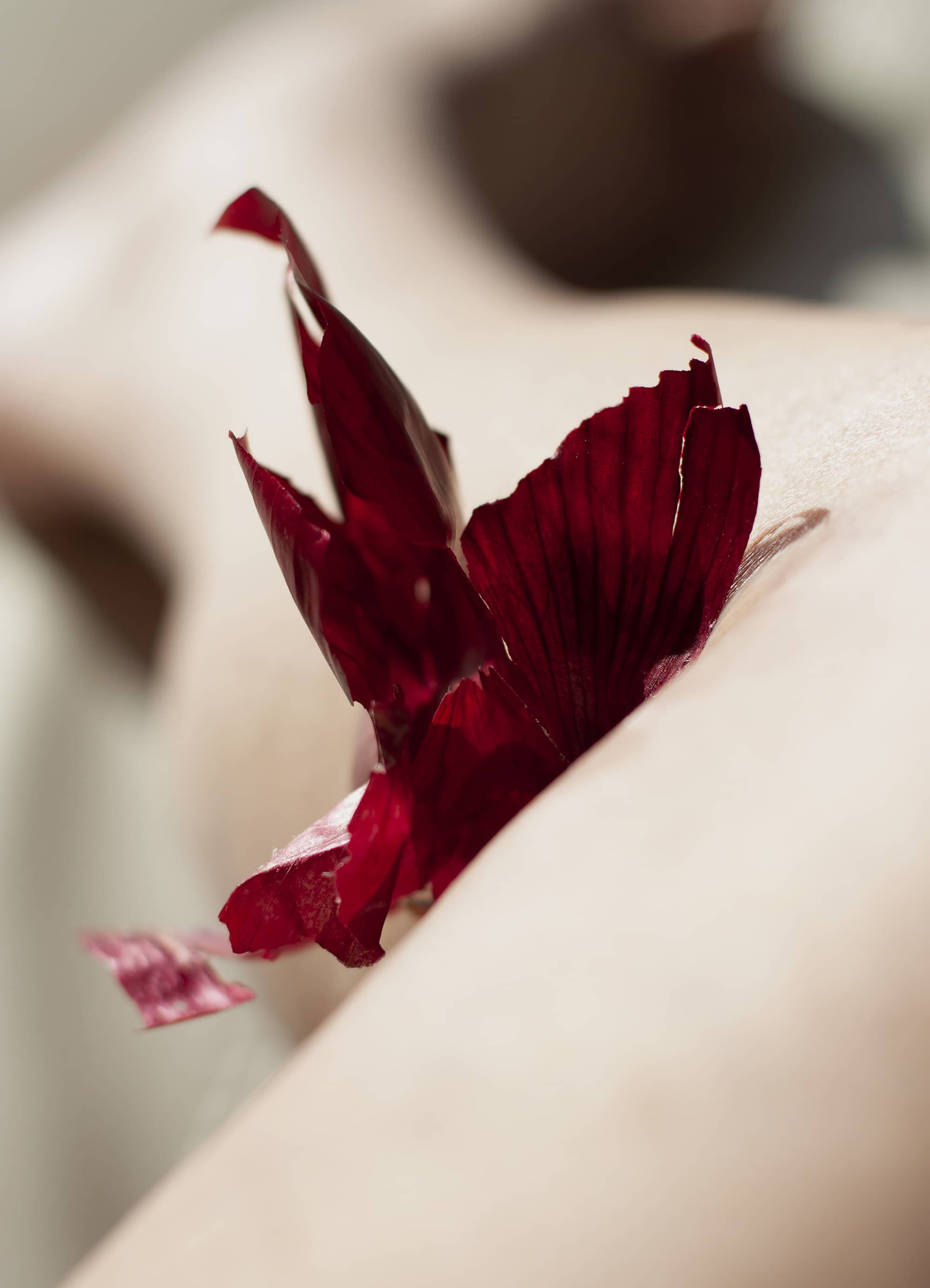 Solène Reymond - Transformations