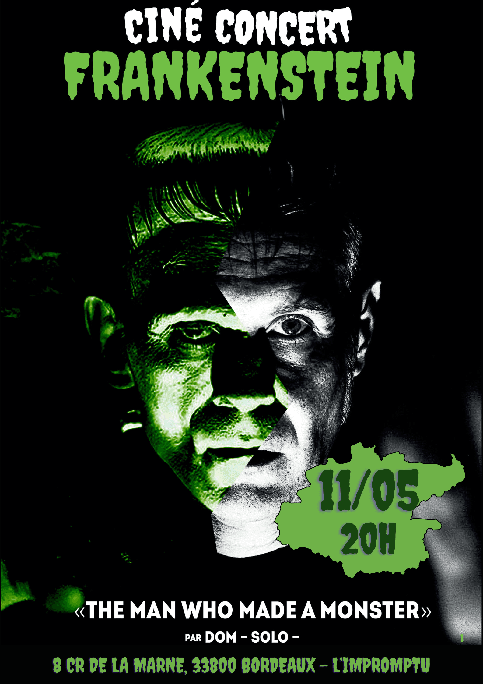 Ciné-concert sur le film Frankenstein de James Whale - par Dom Solo (guitare)