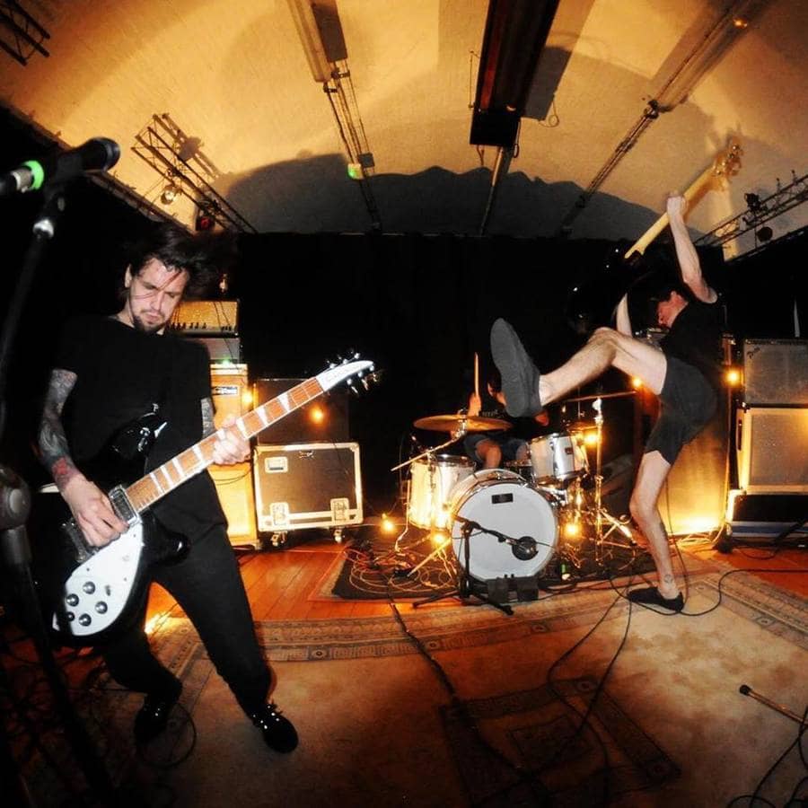 Birds in Row + Colision