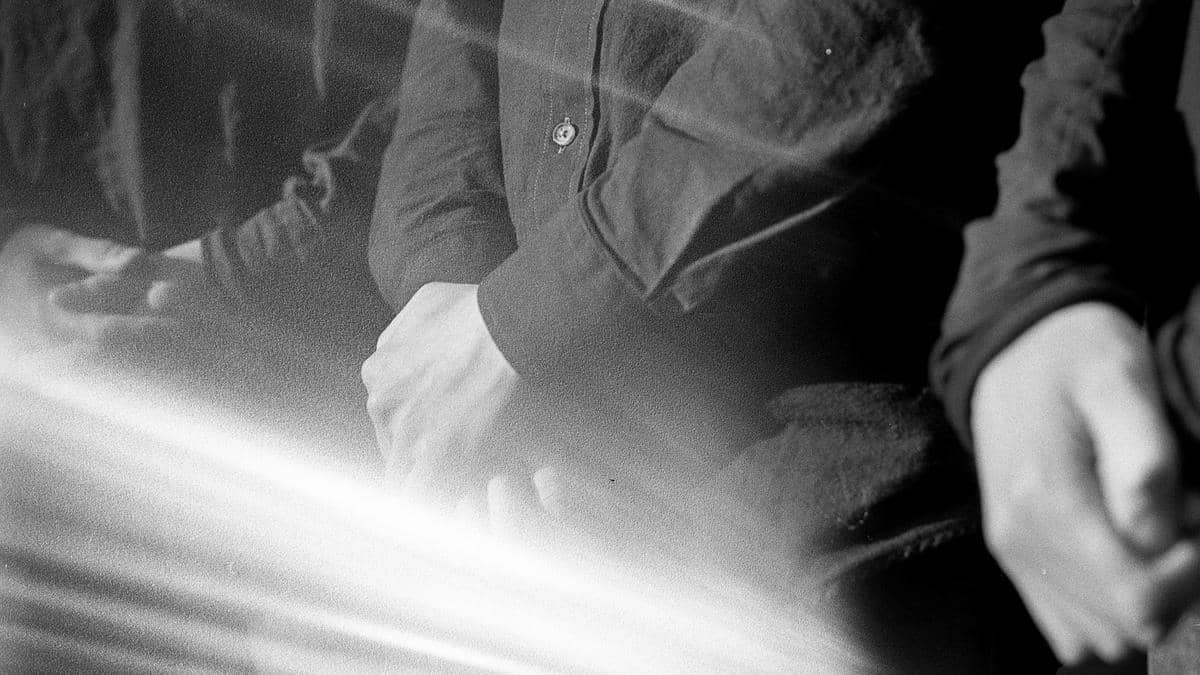 BIRDS IN ROW + W!ZARD