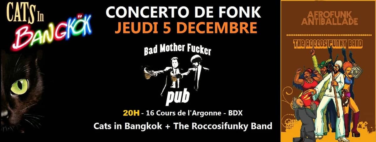 Cats in Bangkok + Rocco Sifunky Band