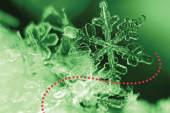 Concert de Noël de Polifonia