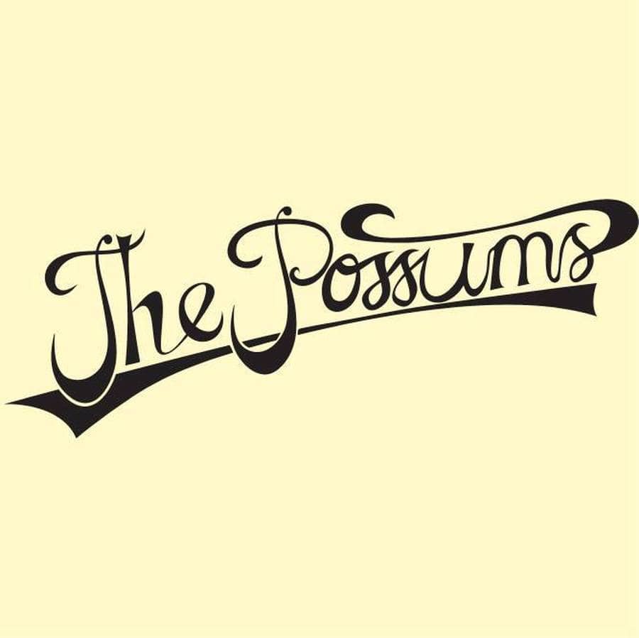 Concert The Possums