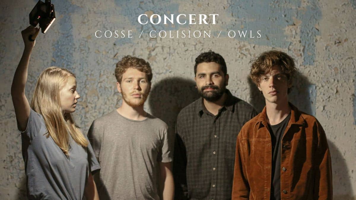 Cosse + Colision + Owls