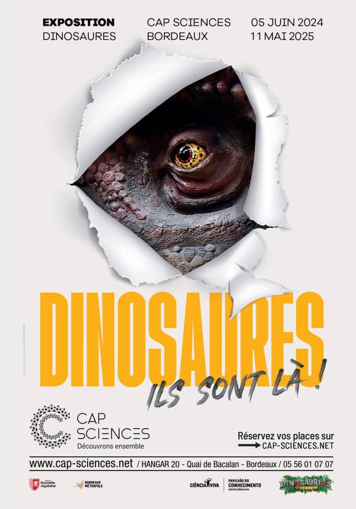 Dinosaures