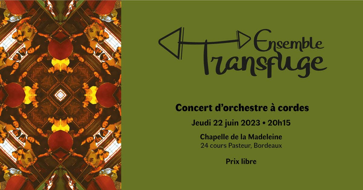 Ensemble Transfuge en concert