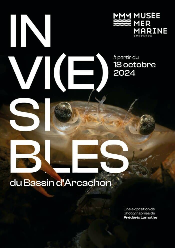 Invi(e)sibles du bassin d'Arcachon