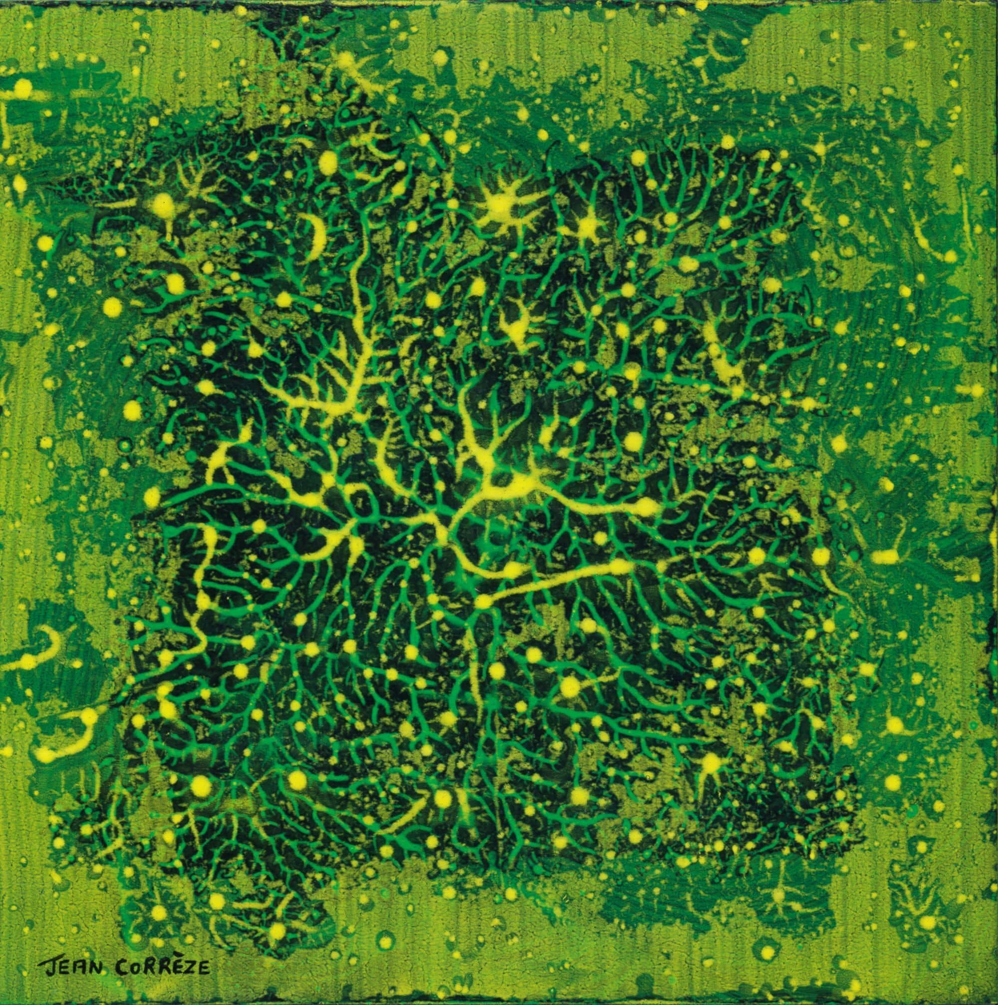 Jean Corrèze - Les Fractales