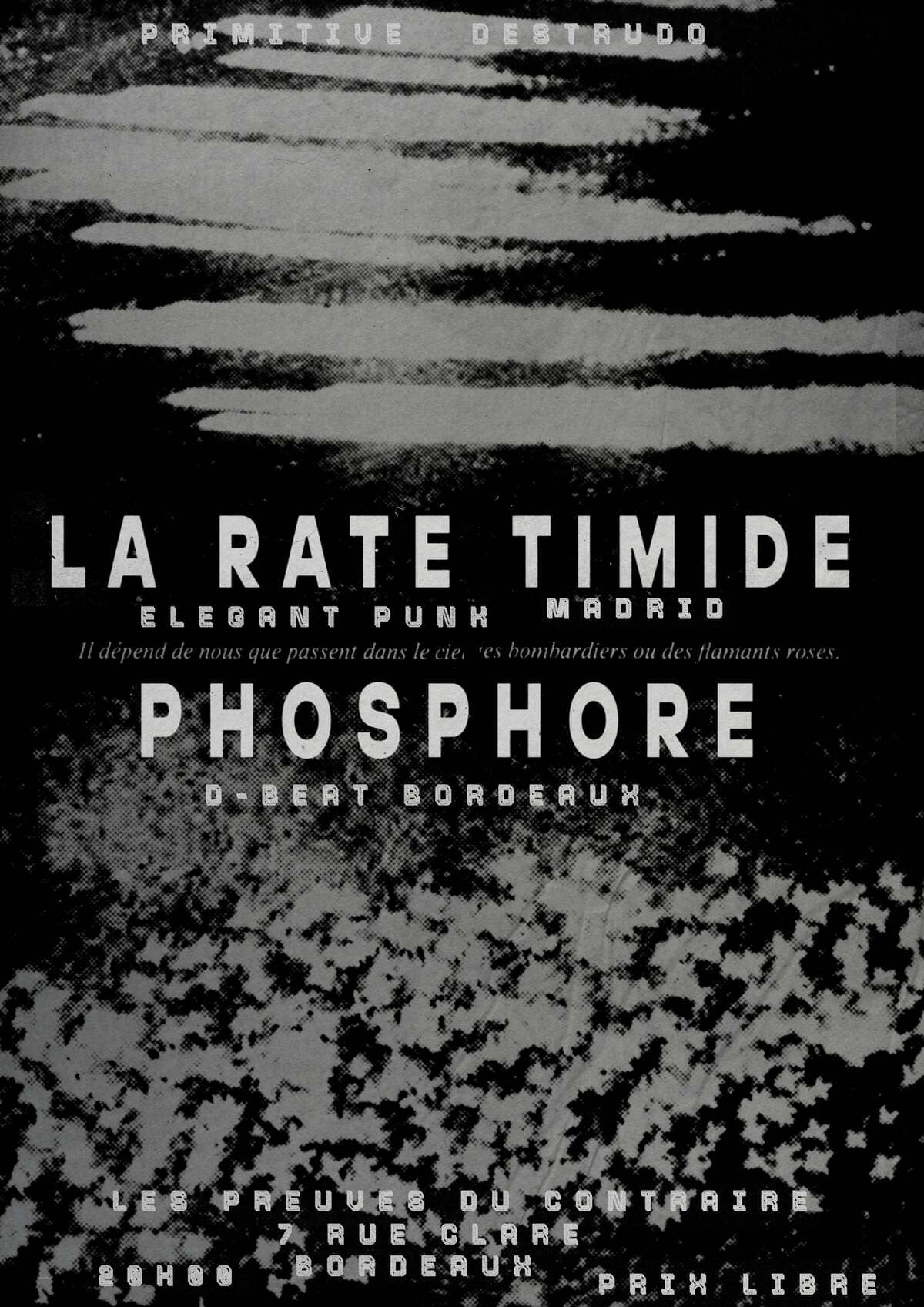La Rate Timide + Phosphore