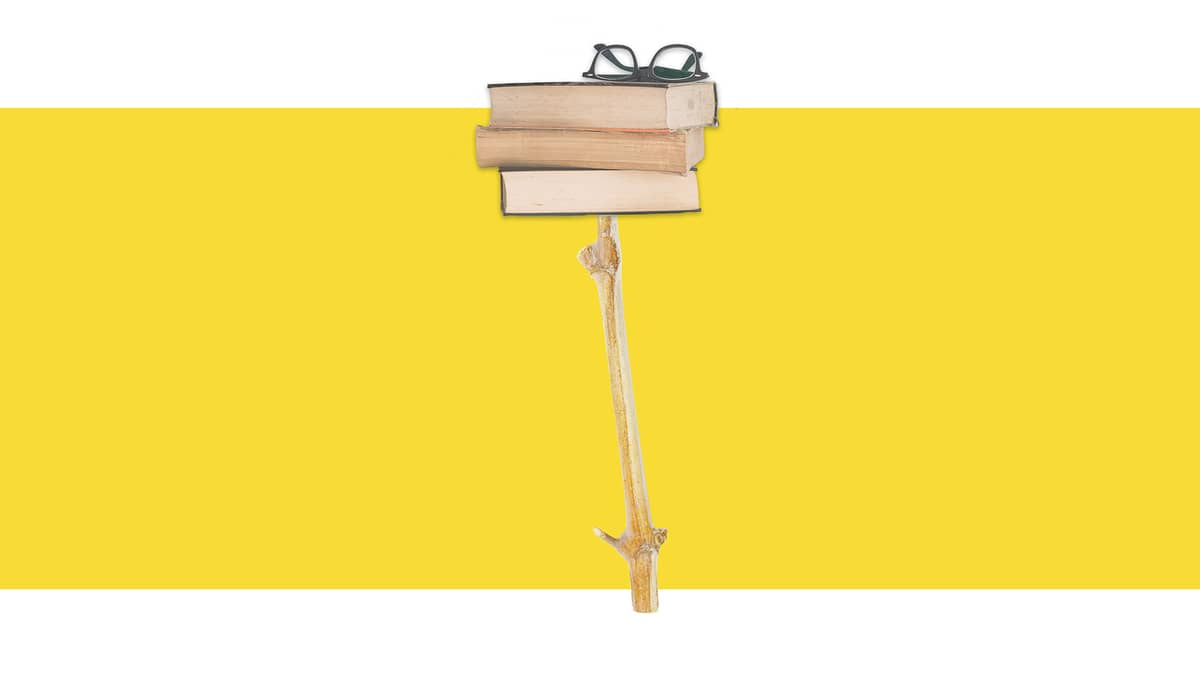 Le vin dans l'oeuvre de Michel Houellebecq