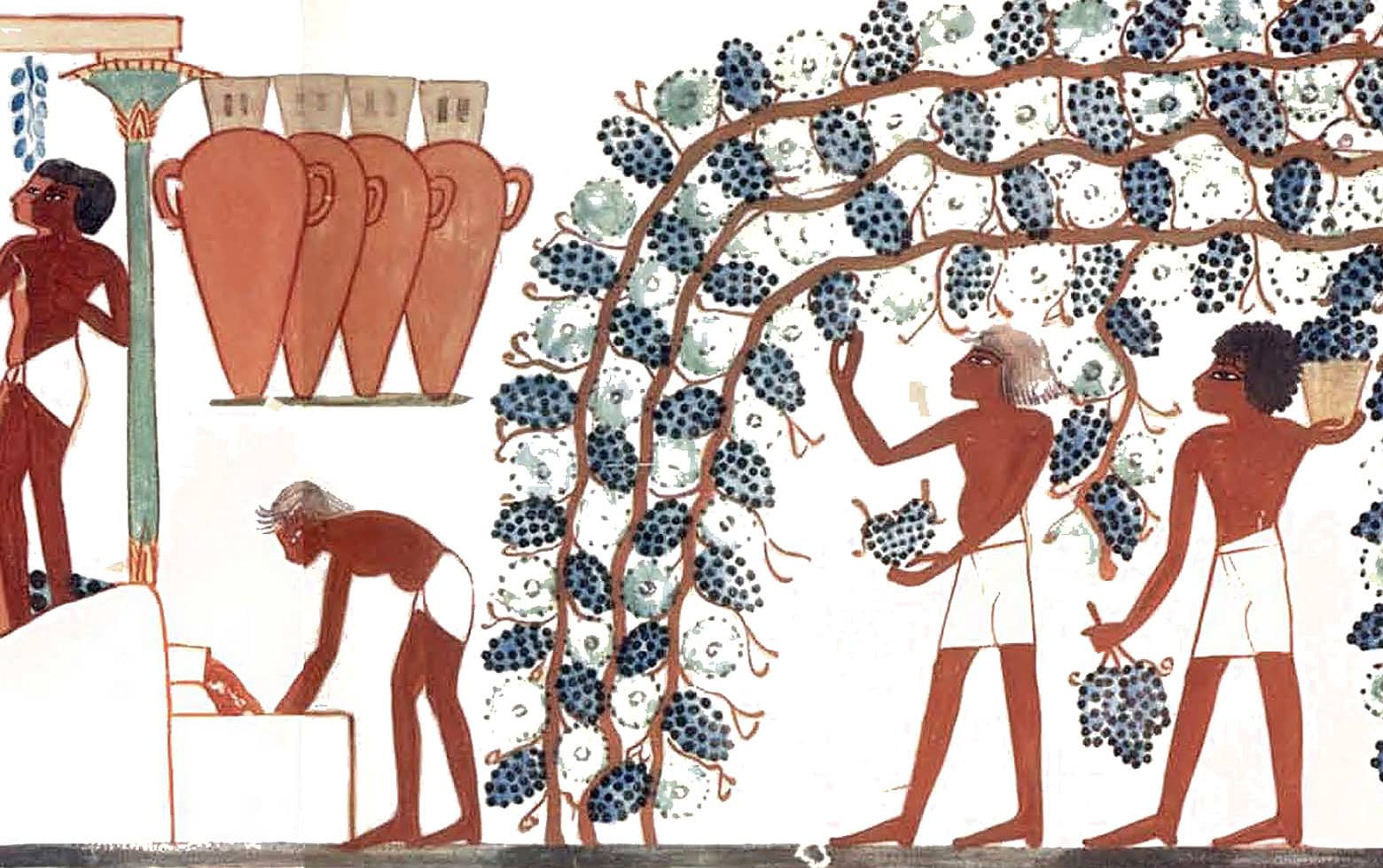 Le vin des Pharaons
