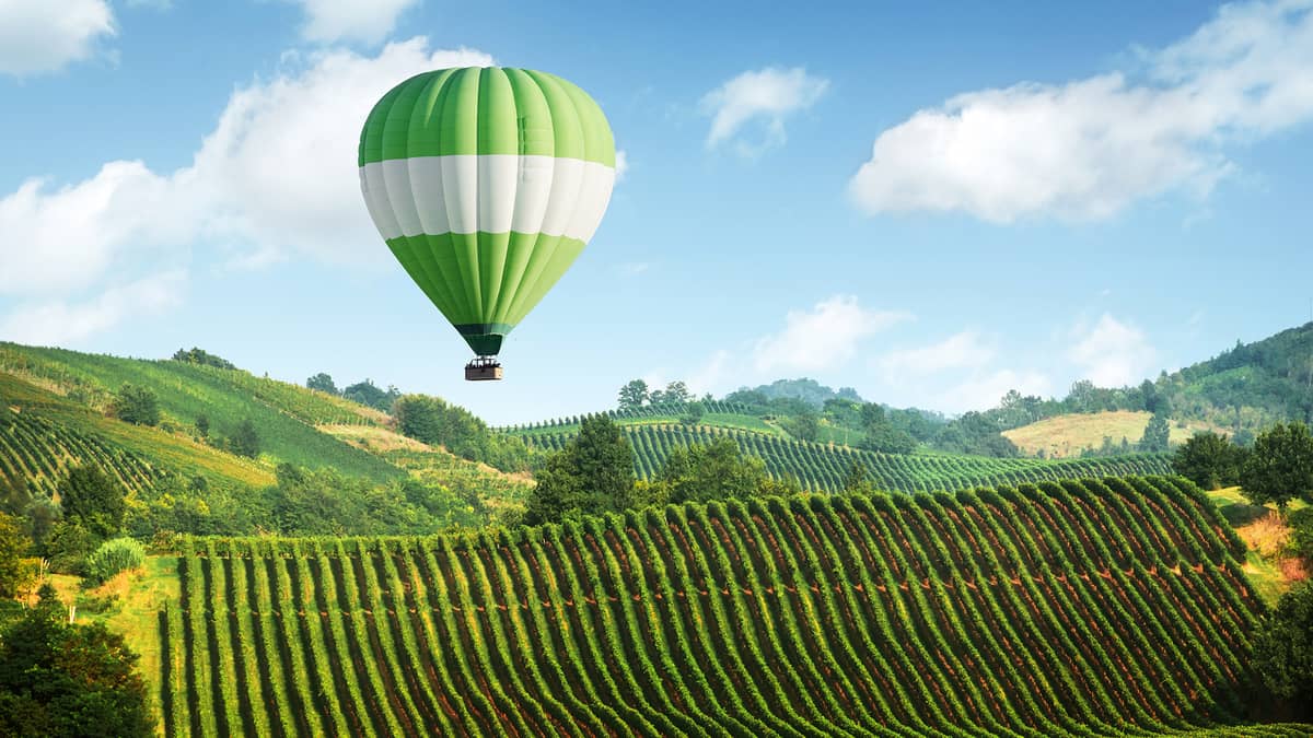 L'oenotourisme, d'un continent à l'autre ?