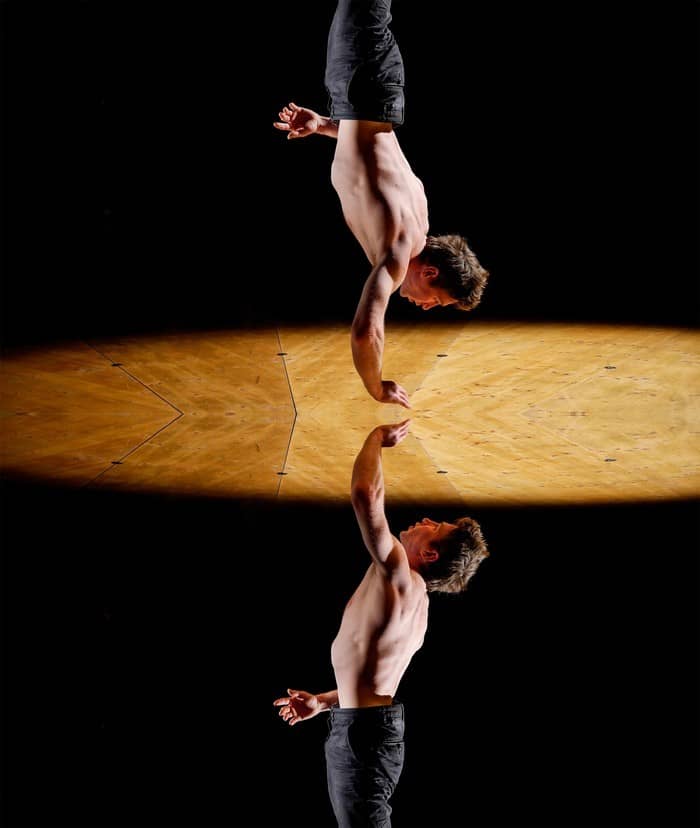 Nartiste (titre provisoire)