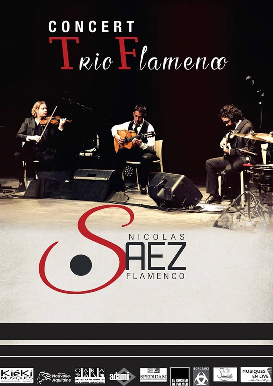 Nicolas Saez Trio Flamenco