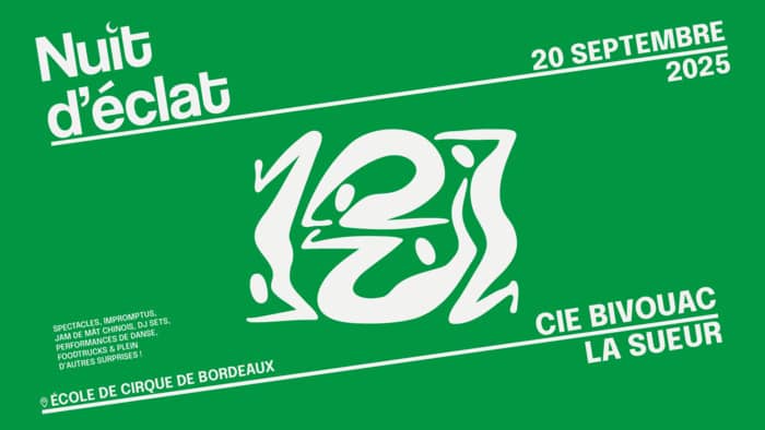 Nuit d'éclat🌛 Soirée cirque