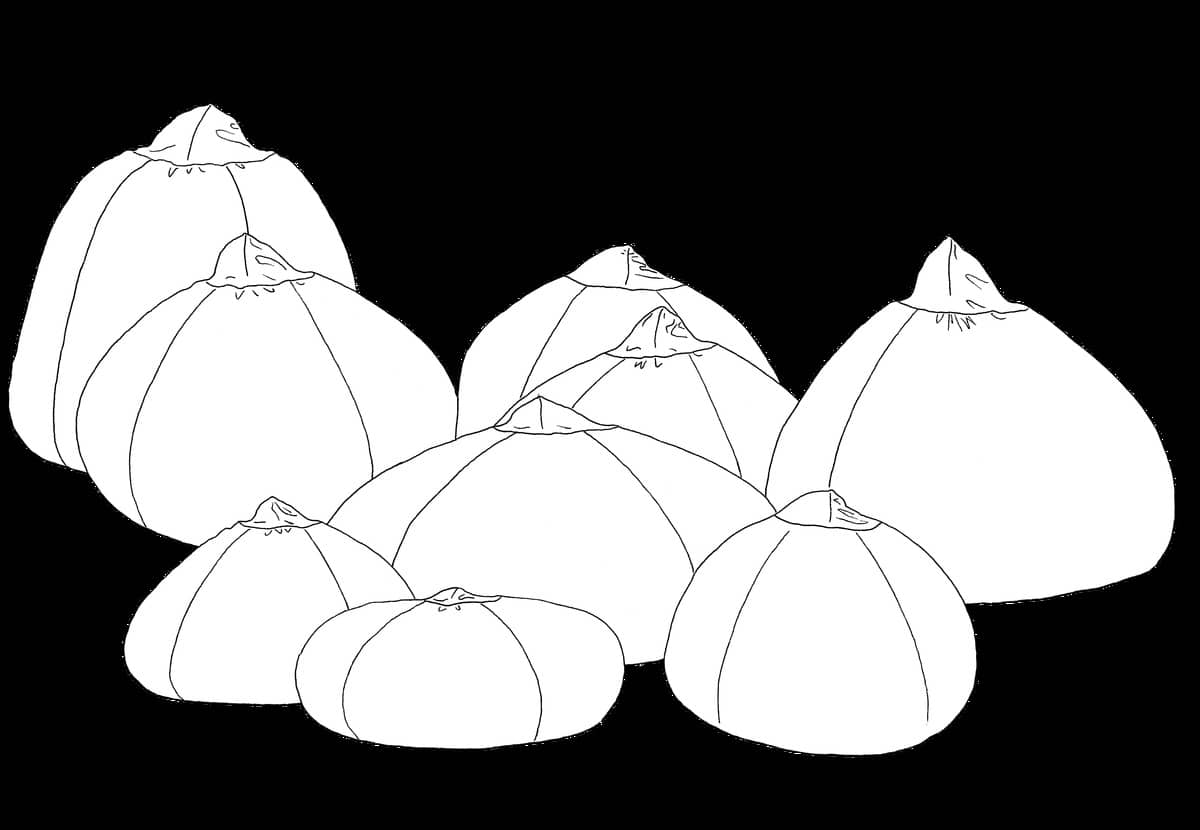 [POUCE !] Le petit B - Marion Muzac