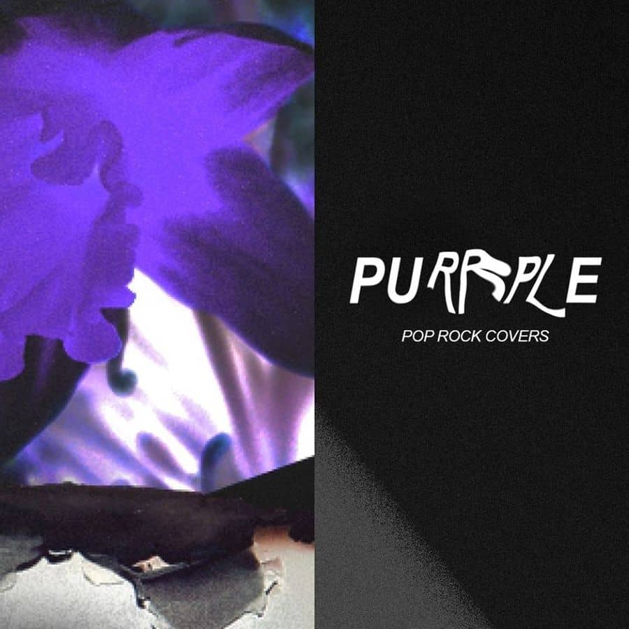 Purrple