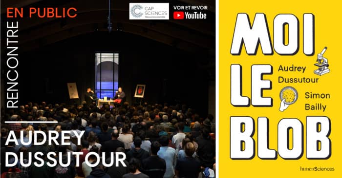 Rencontre ECHO avec Audrey Dussutour