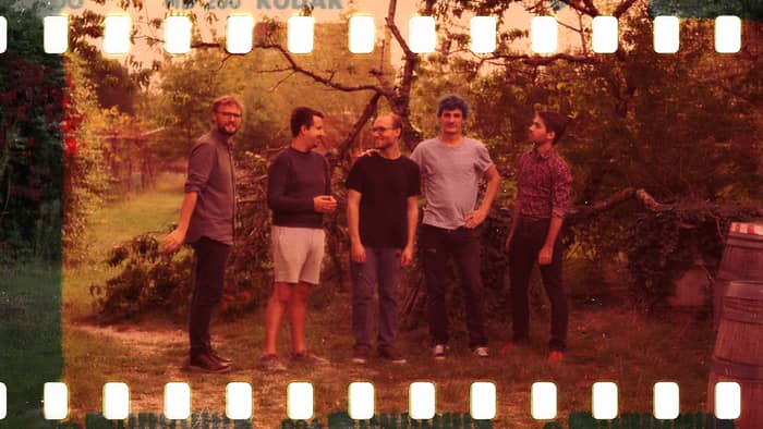 ROBIN & THE WOODS