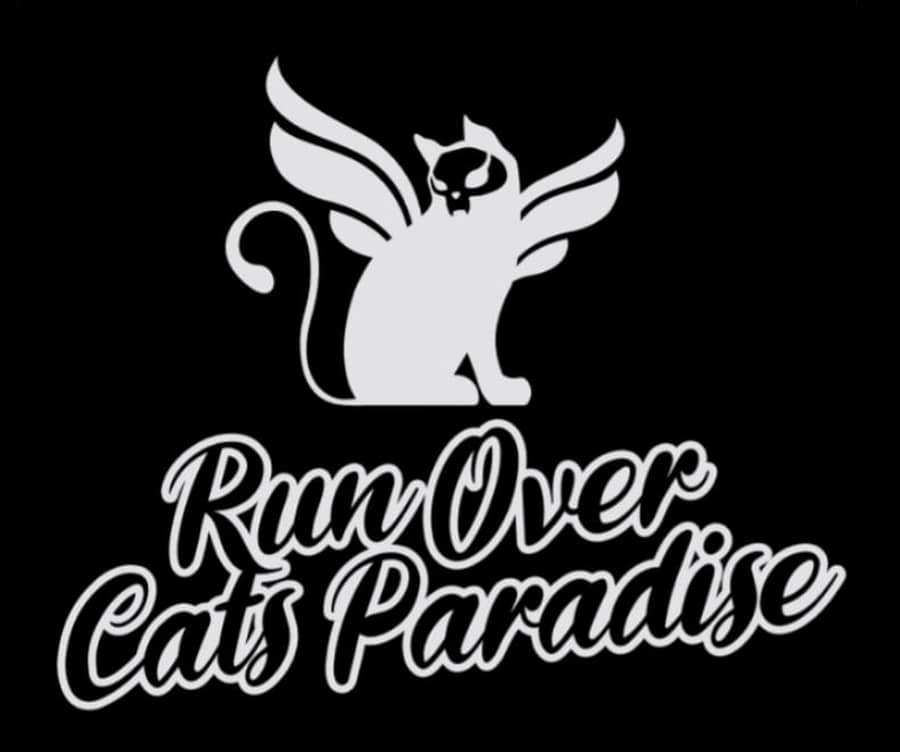 Run Over Cats Paradise