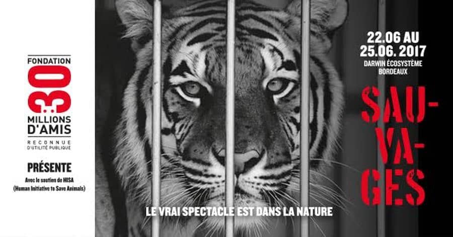 SAUVAGES - L'exposition