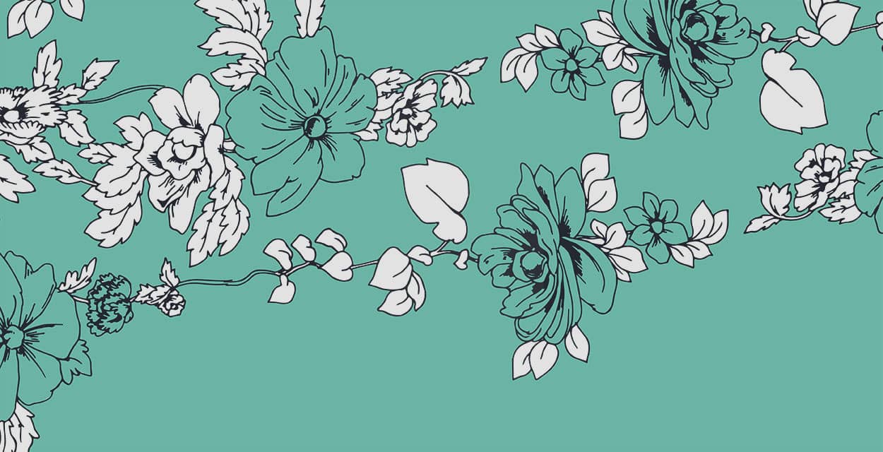 Schubert / Beethoven