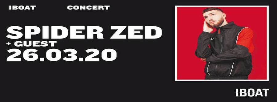 Spider zed