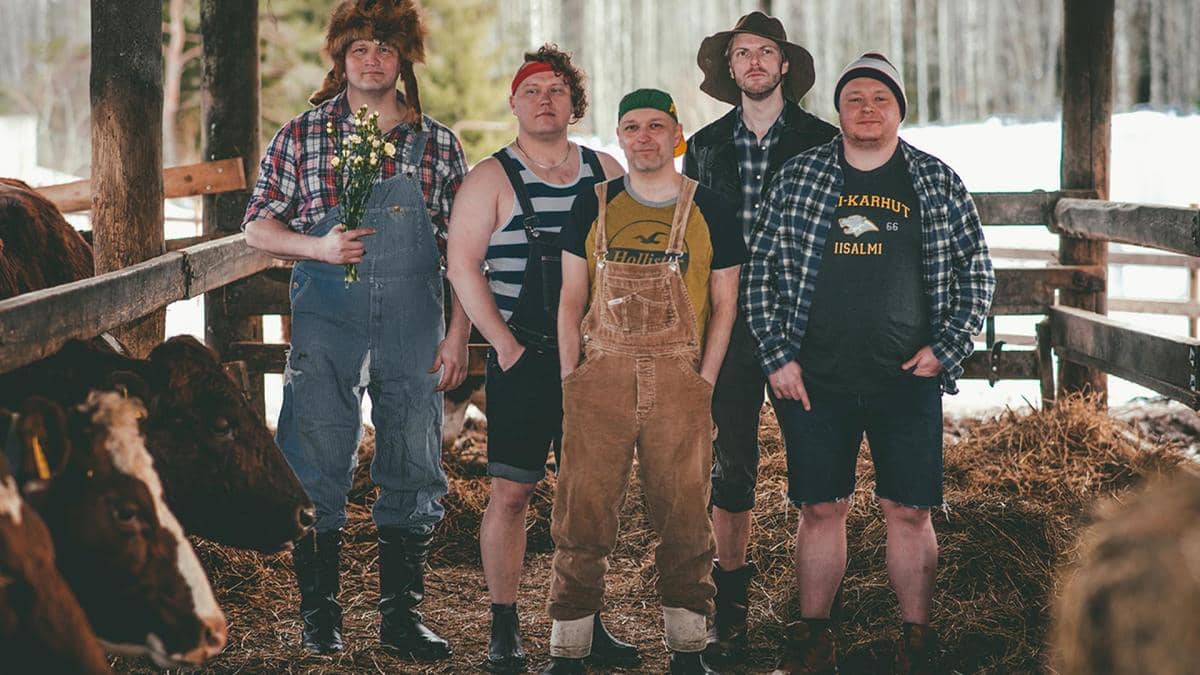 STEVE ’N' SEAGULLS