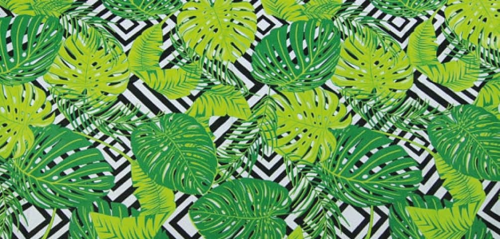 TEMPLE PRODUCTION & TRIBUS LIBRES