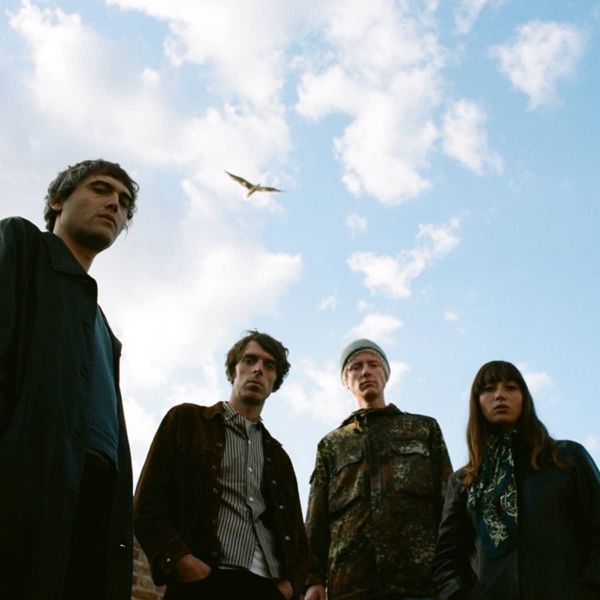 THE PROPER ORNAMENTS