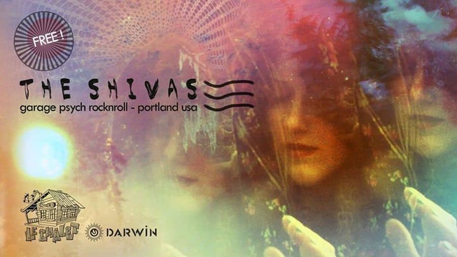The Shivas + Bowl Skate Session