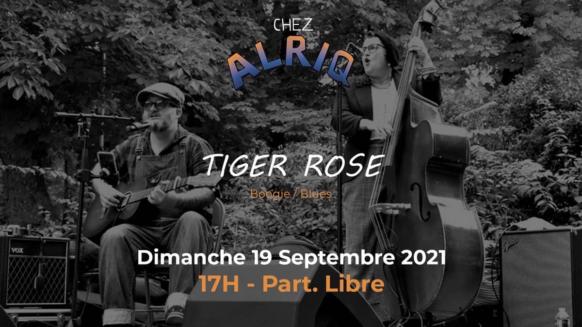 TIGER ROSE