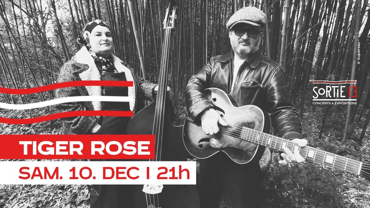 TIGER ROSE