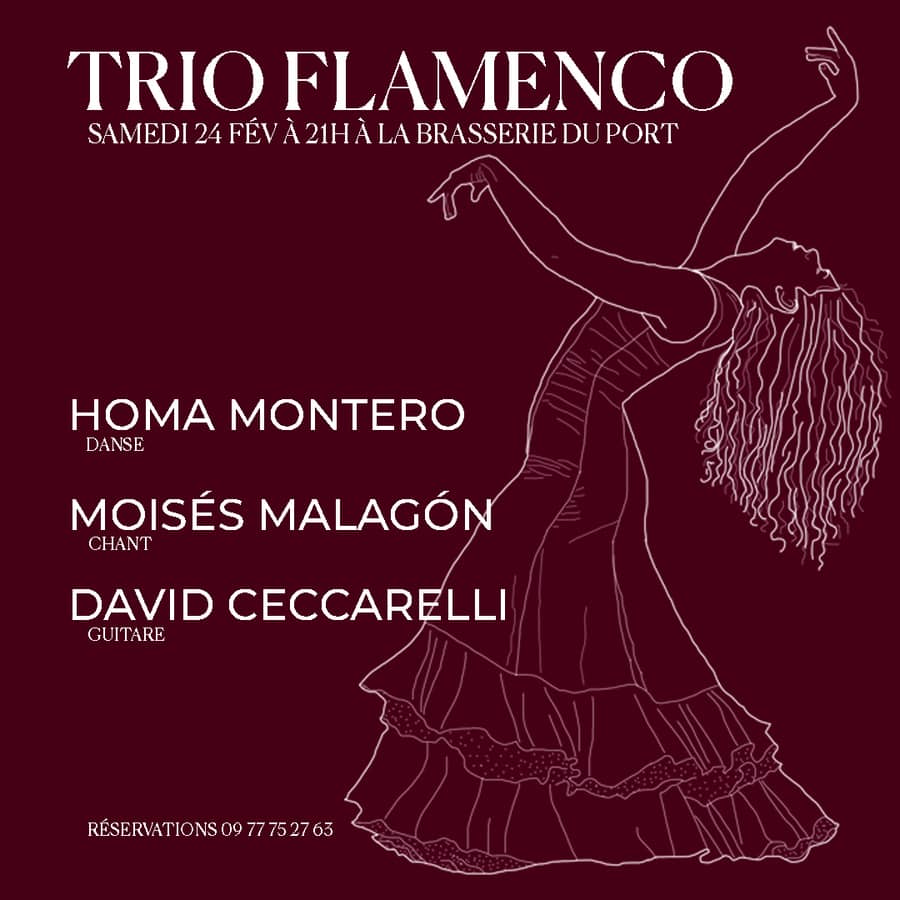 Trio flamenco