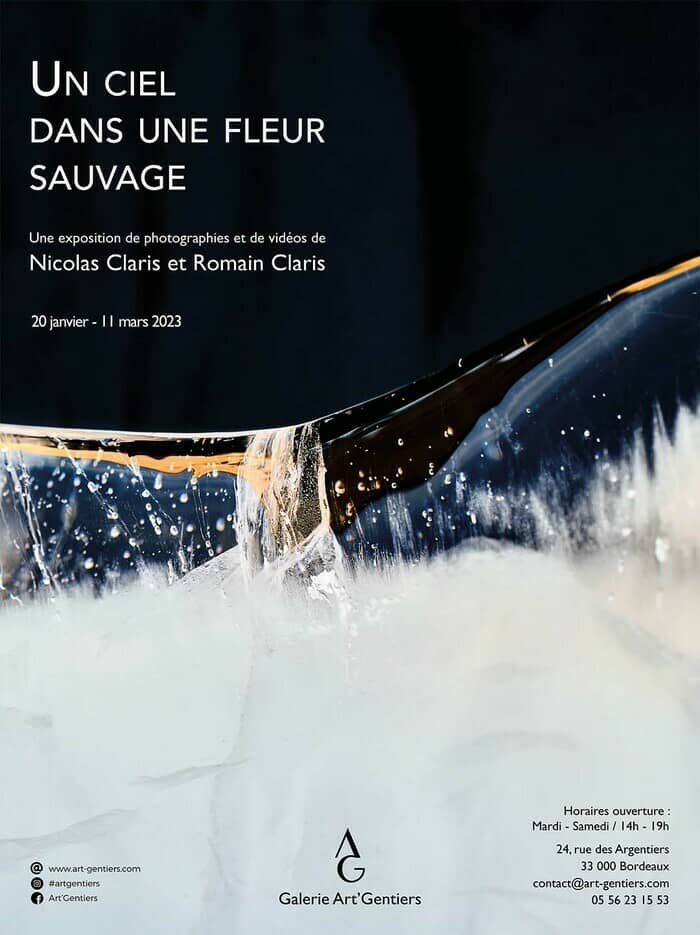 Un ciel dans une fleur sauvage