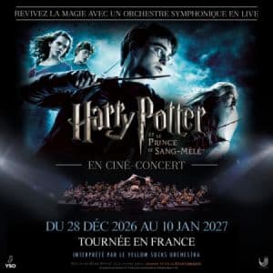 HARRY POTTER ET LE PRINCE DE SANG-MELE