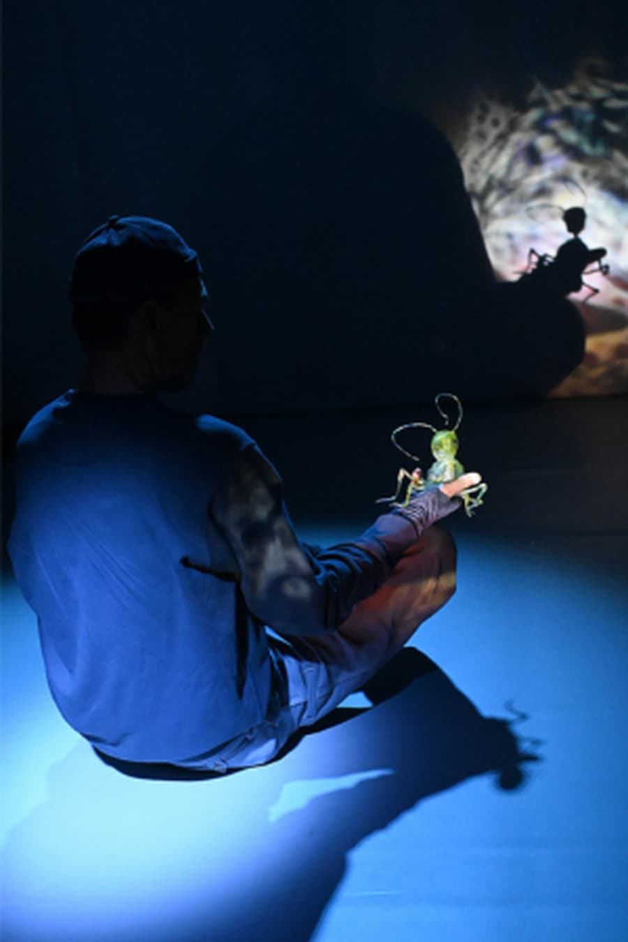 Minimus - Cie Le bruit des ombres