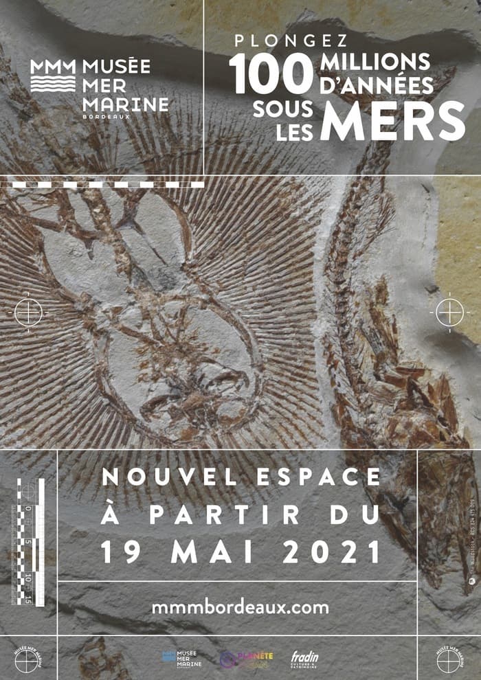 100 Millions d'Années sous les Mers