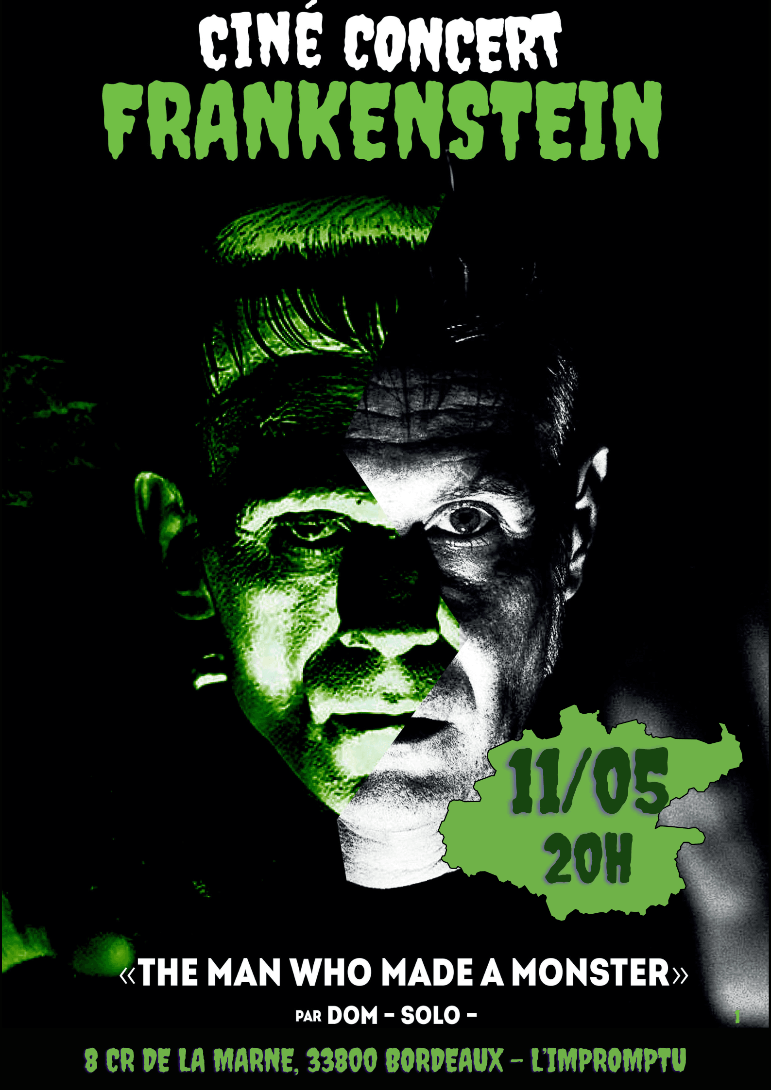 Ciné-concert sur le film Frankenstein de James Whale - par Dom Solo (guitare)