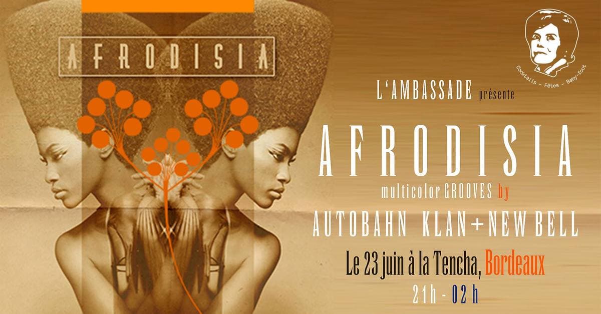 Afrodisia & Multicolor Grooves