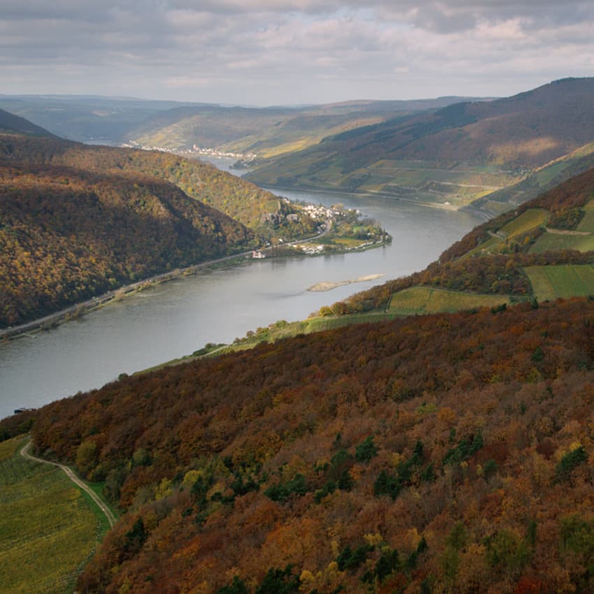 Allemagne : La vallée du Rhin