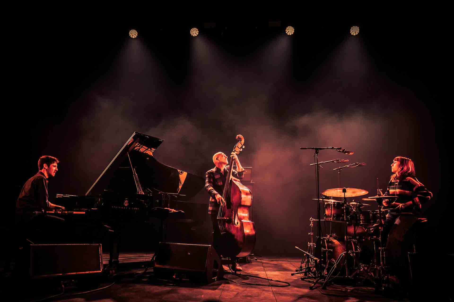 Avishai Cohen Trio