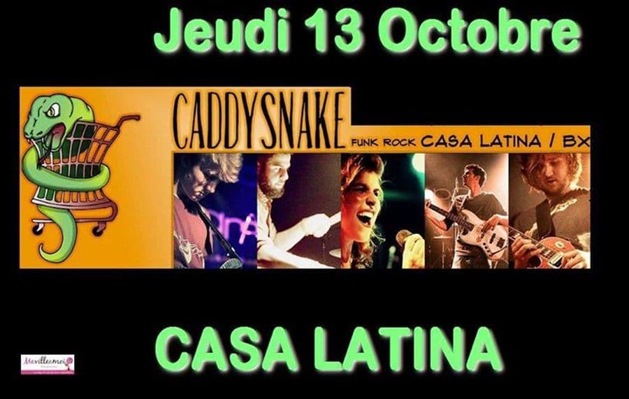Caddysnake
