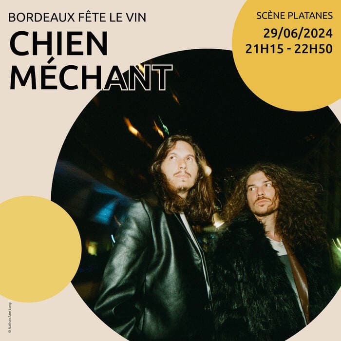 Chien Méchant