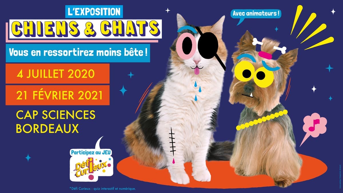 Chiens et chats