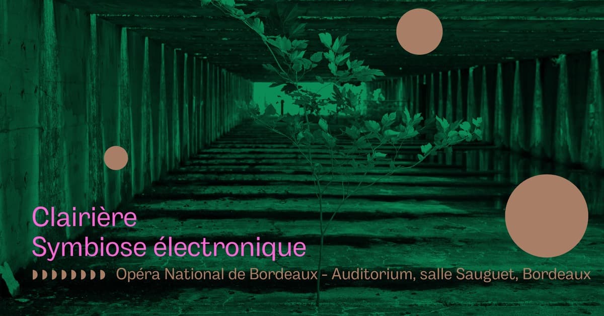 Clairière - Symbiose électronique