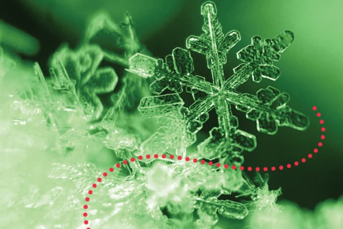 Concert de Noël de Polifonia