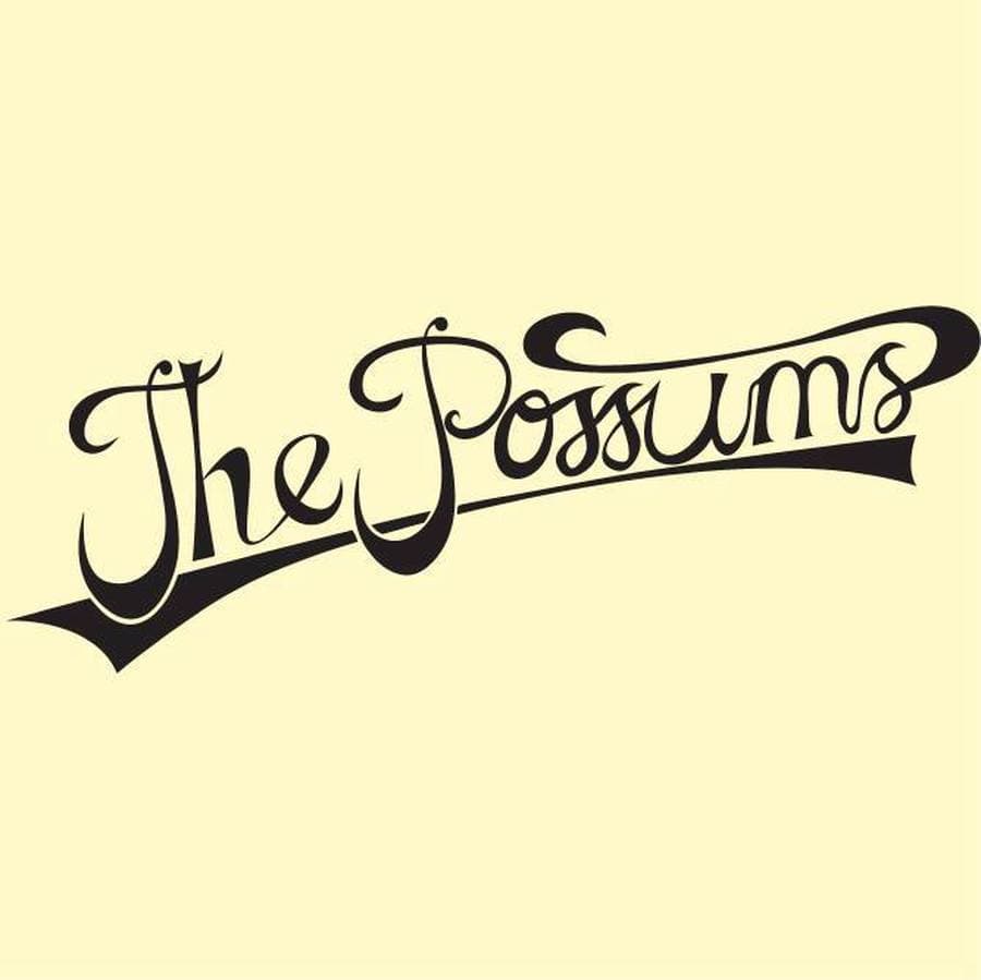 Concert The Possums