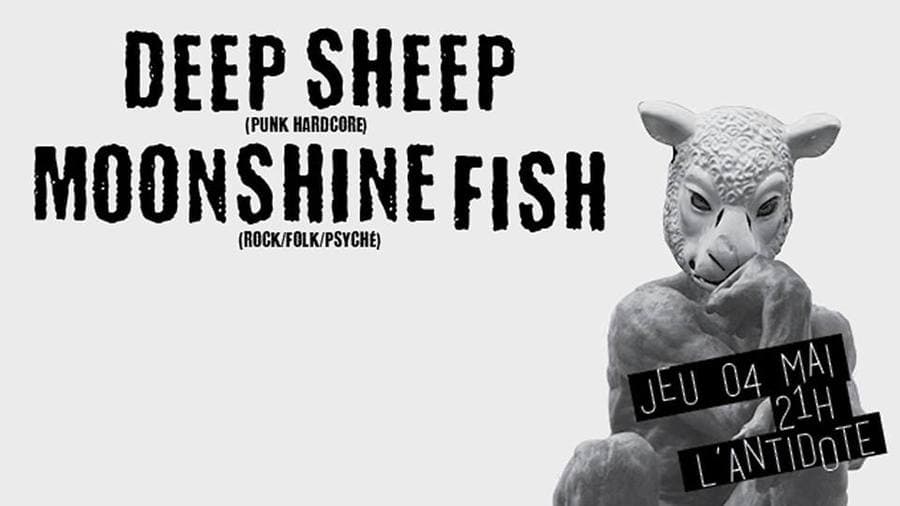 Deep Sheep + Moonshine Fish