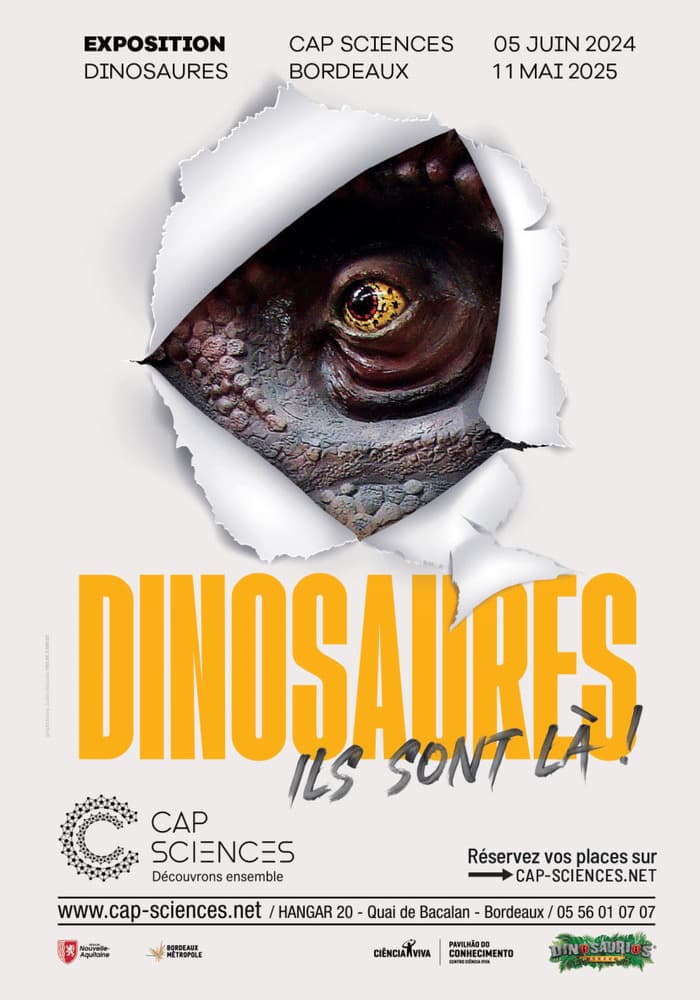 Dinosaures